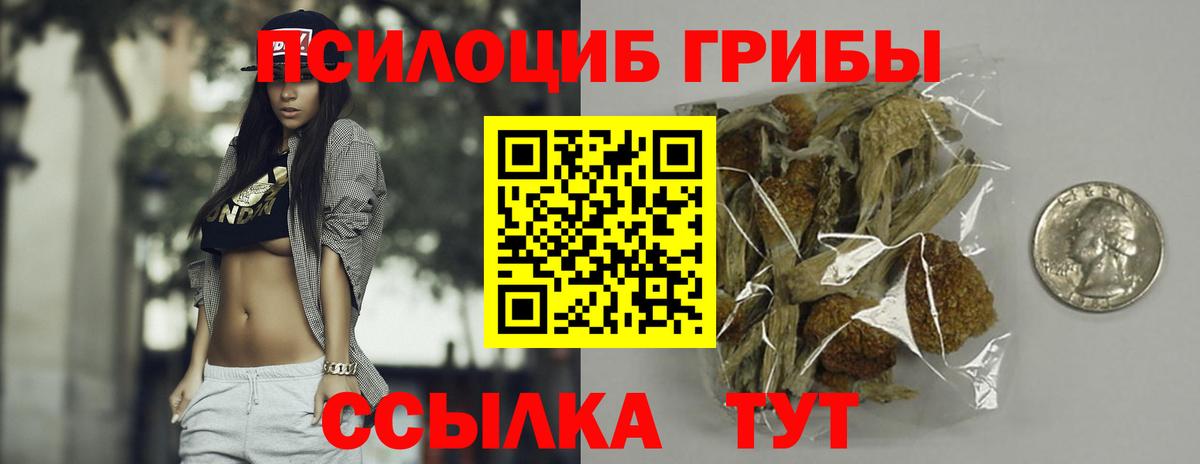 Галлюциногенные грибы Psilocybine cubensis Рославль